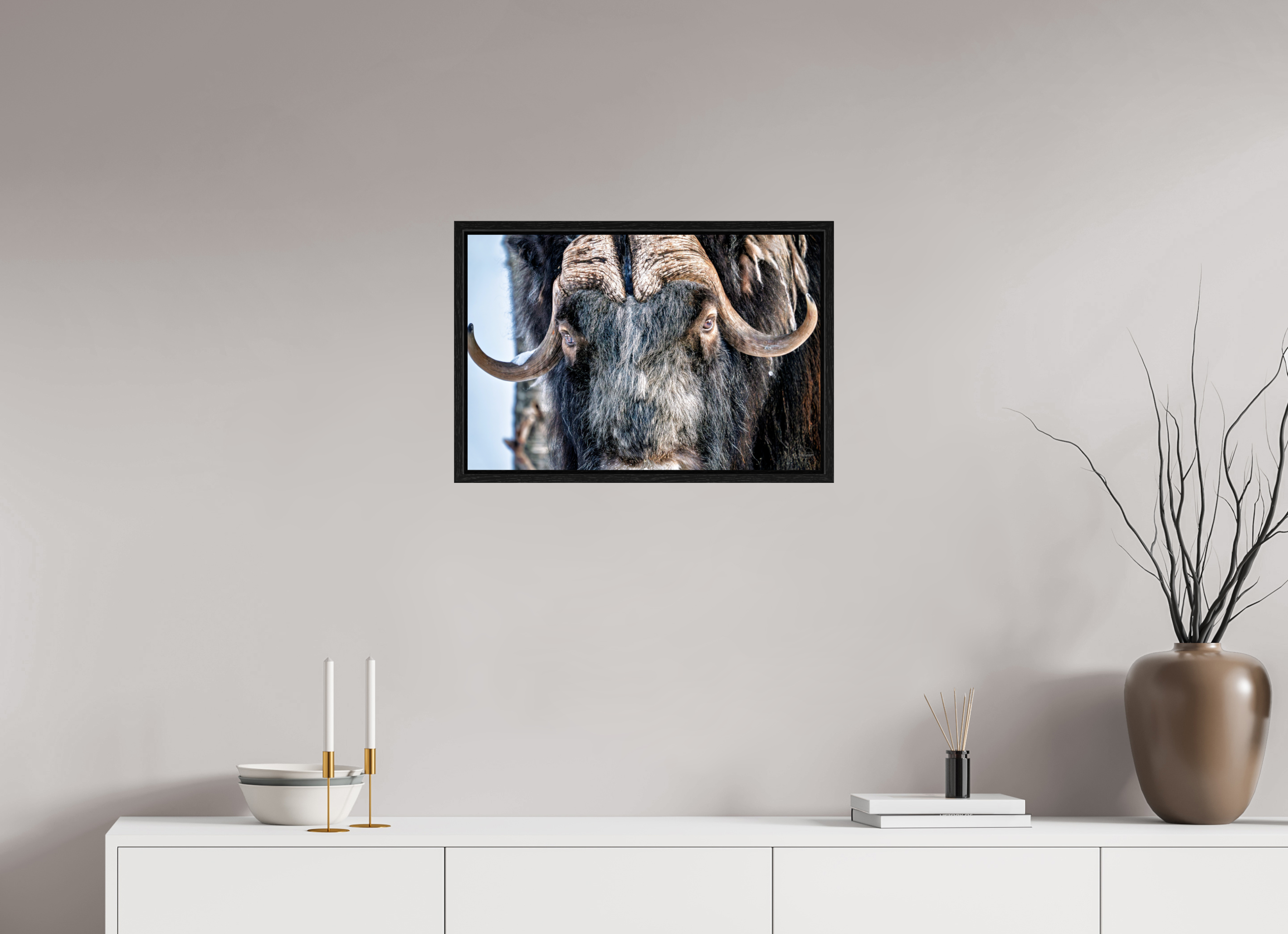 60 x 40 cm, Tirage couleur dans Caisse américaine noire Le Gardien du Grand Nord | Poster Bœuf Musqué Fine Art