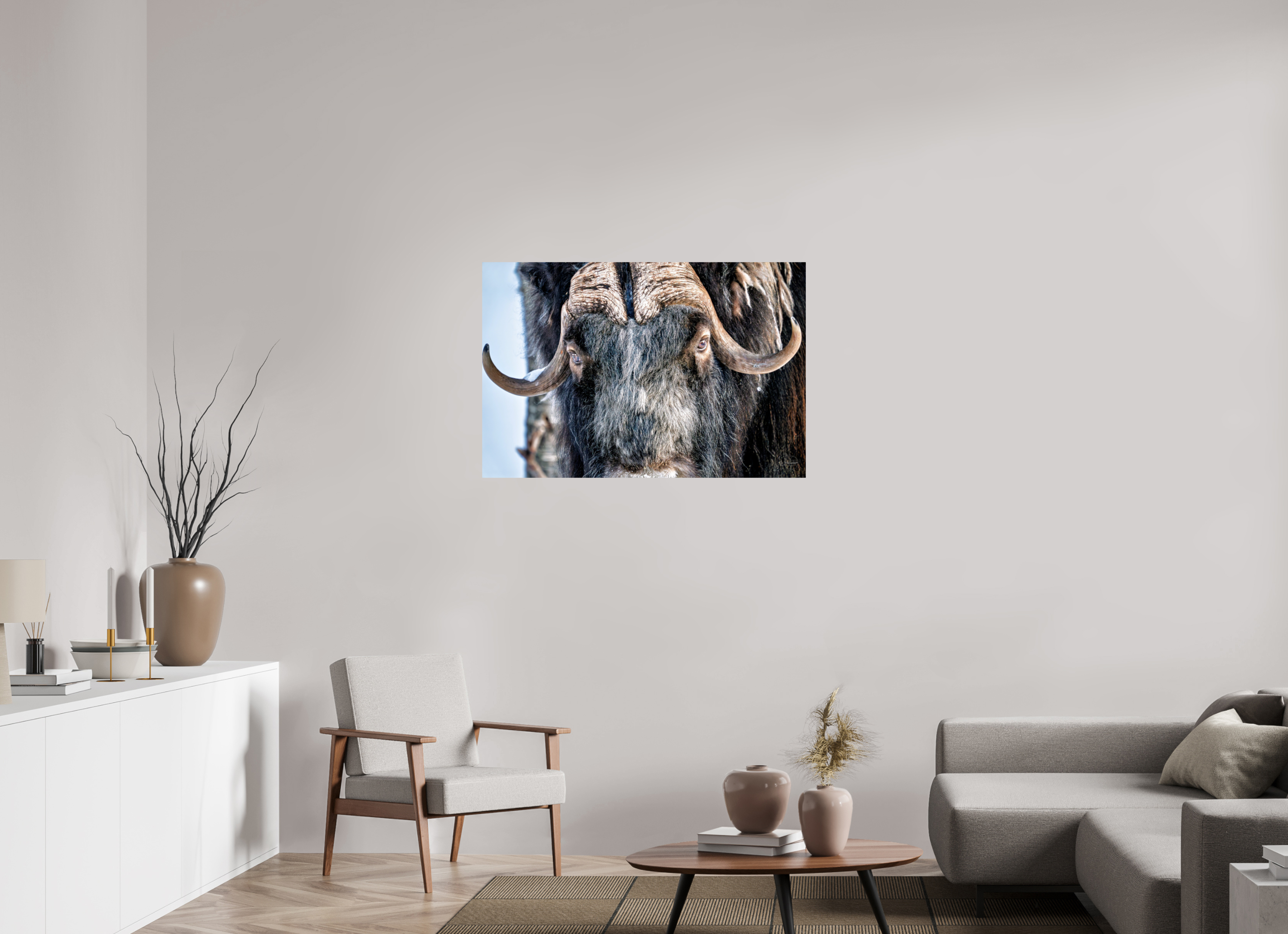 105 x 70 cm, Tirage couleur brillant seul Le Gardien du Grand Nord | Poster Bœuf Musqué Fine Art