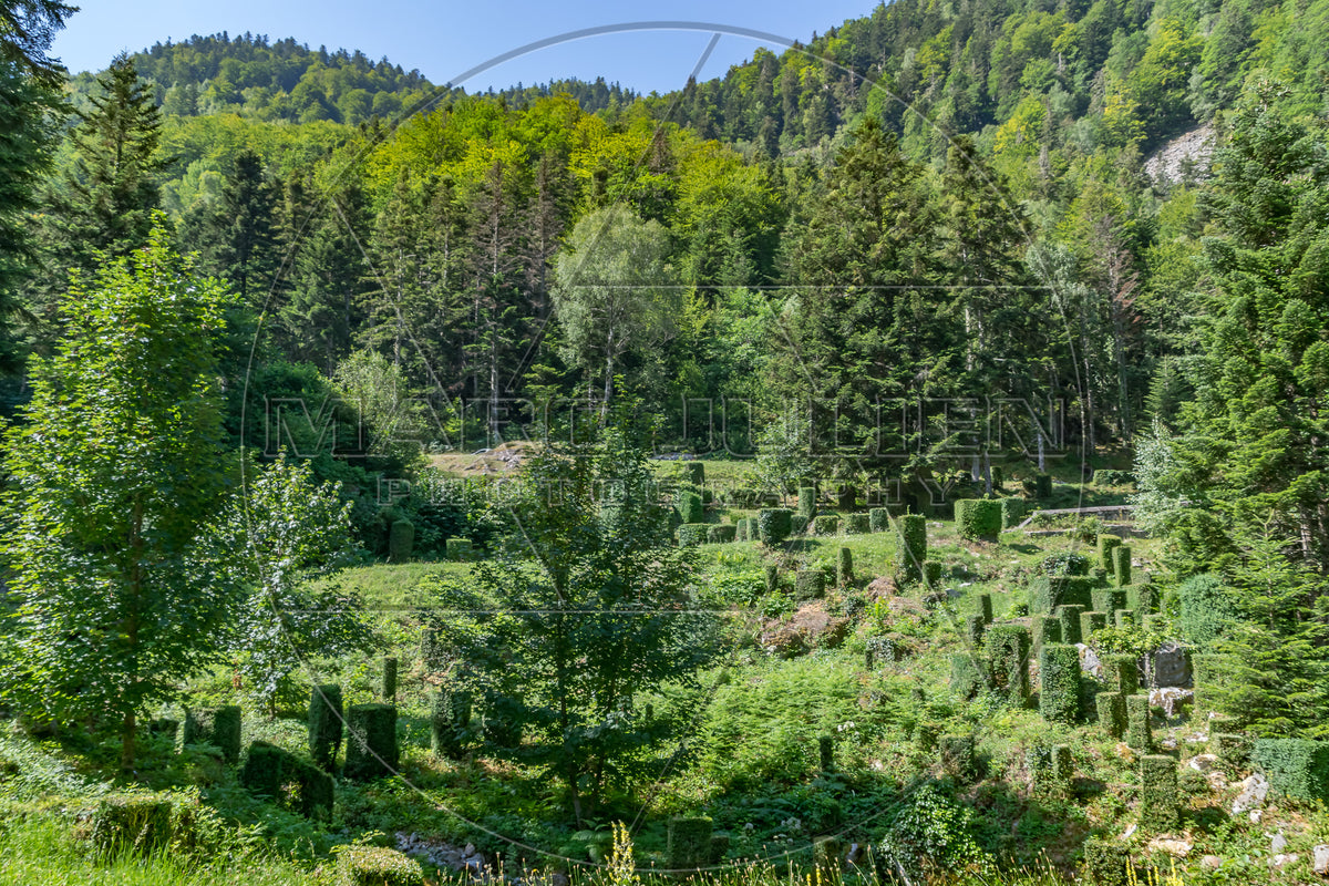 Grüne Waldlandschaft mit geschnitzten Bäumen an einem Berghang