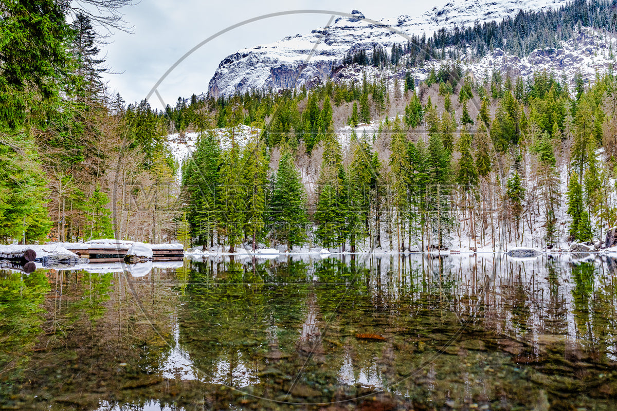 Schneebedeckter Bergsee im Herzen eines Alpenwaldes