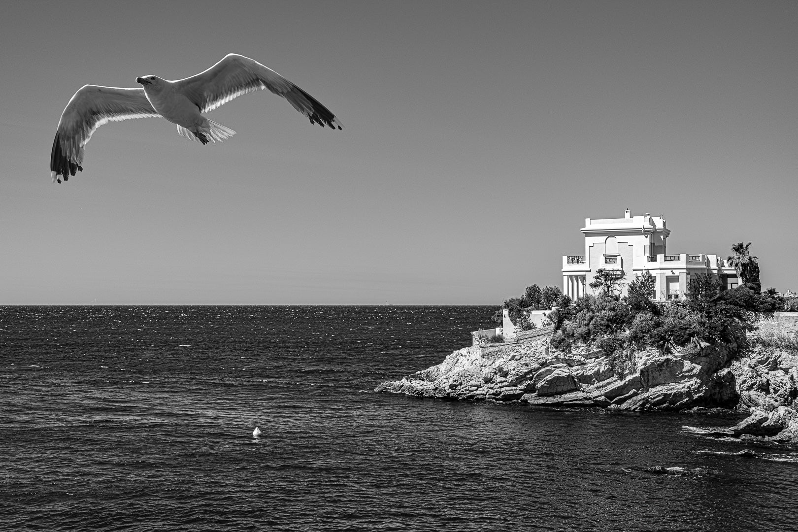La maison, l'oiseau et la mer
