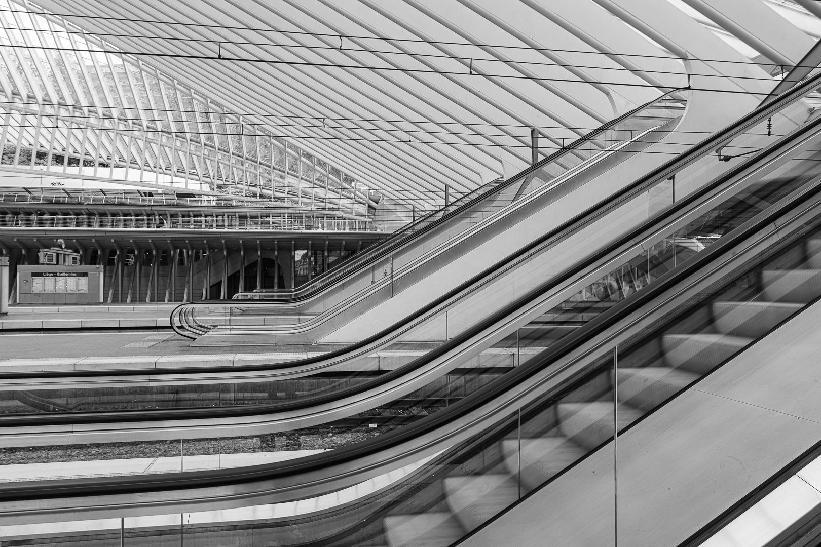Lignes en mouvement