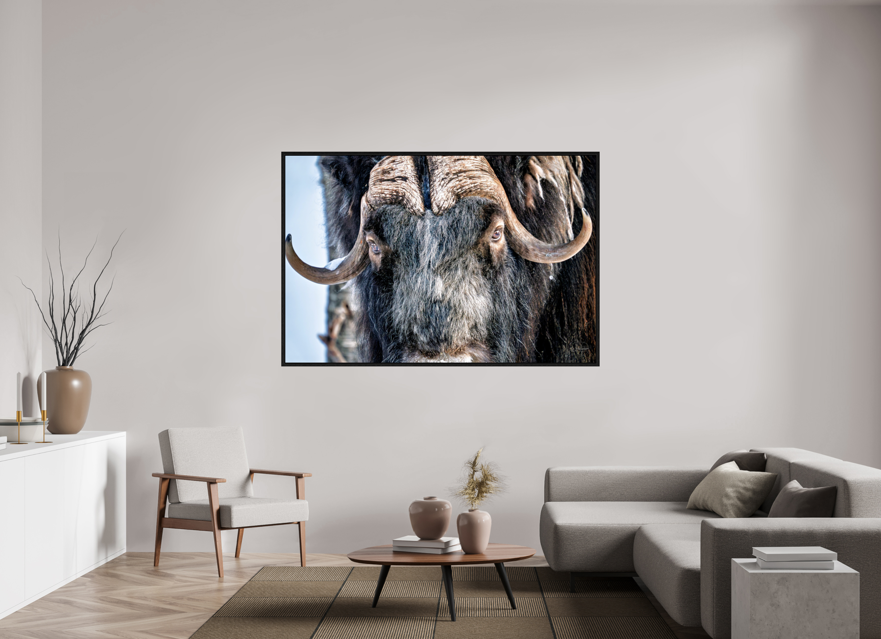 180 x 120 cm, Tirage couleur dans Caisse américaine noire Le Gardien du Grand Nord | Poster Bœuf Musqué Fine Art