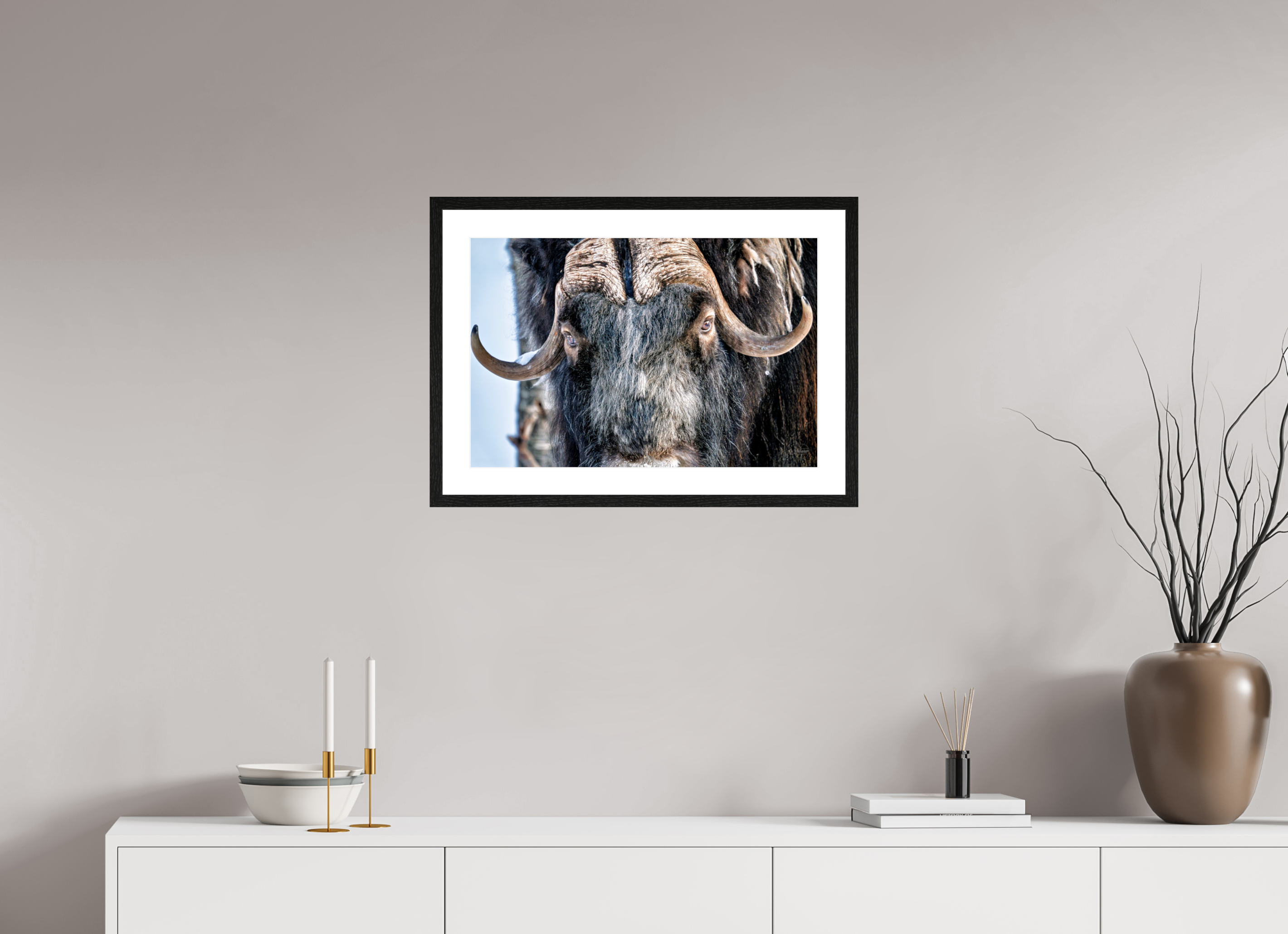60 x 40 cm, Tirage couleur brillant + Cadre noir avec passe-partout Le Gardien du Grand Nord | Poster Bœuf Musqué Fine Art