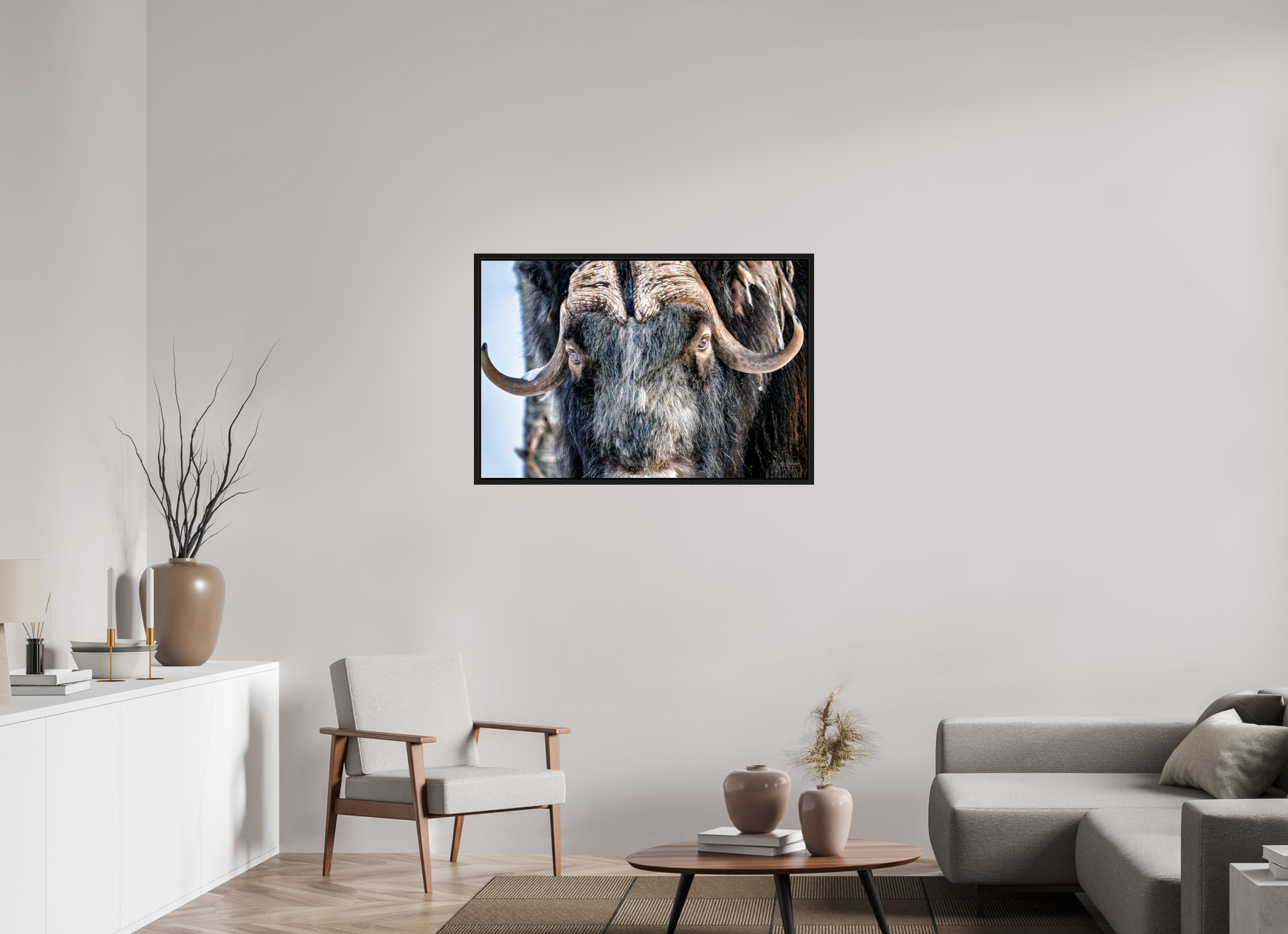 105 x 70 cm, Tirage couleur dans Caisse américaine noire Le Gardien du Grand Nord | Poster Bœuf Musqué Fine Art
