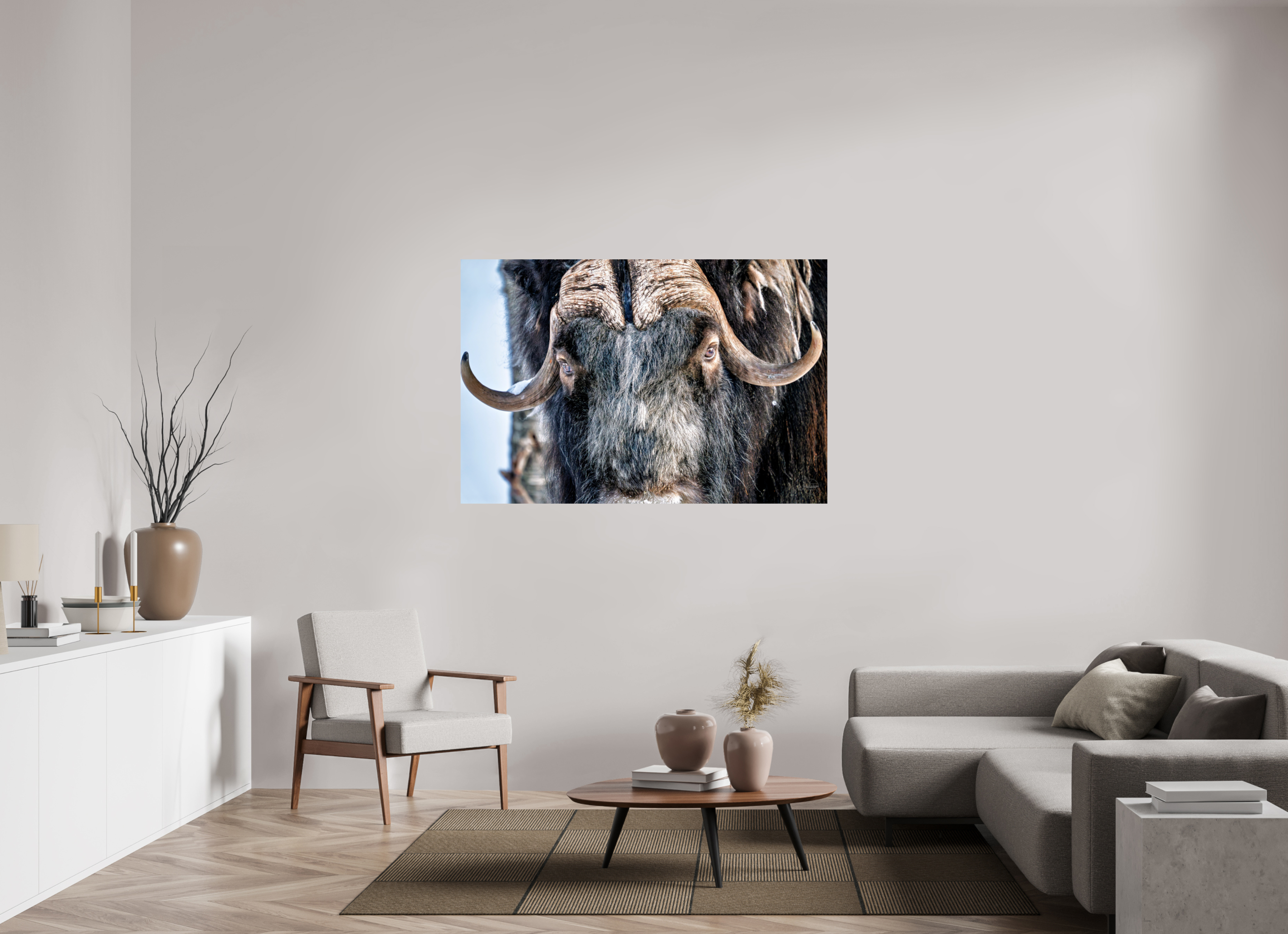 150 x 100 cm, Tirage couleur brillant seul Le Gardien du Grand Nord | Poster Bœuf Musqué Fine Art