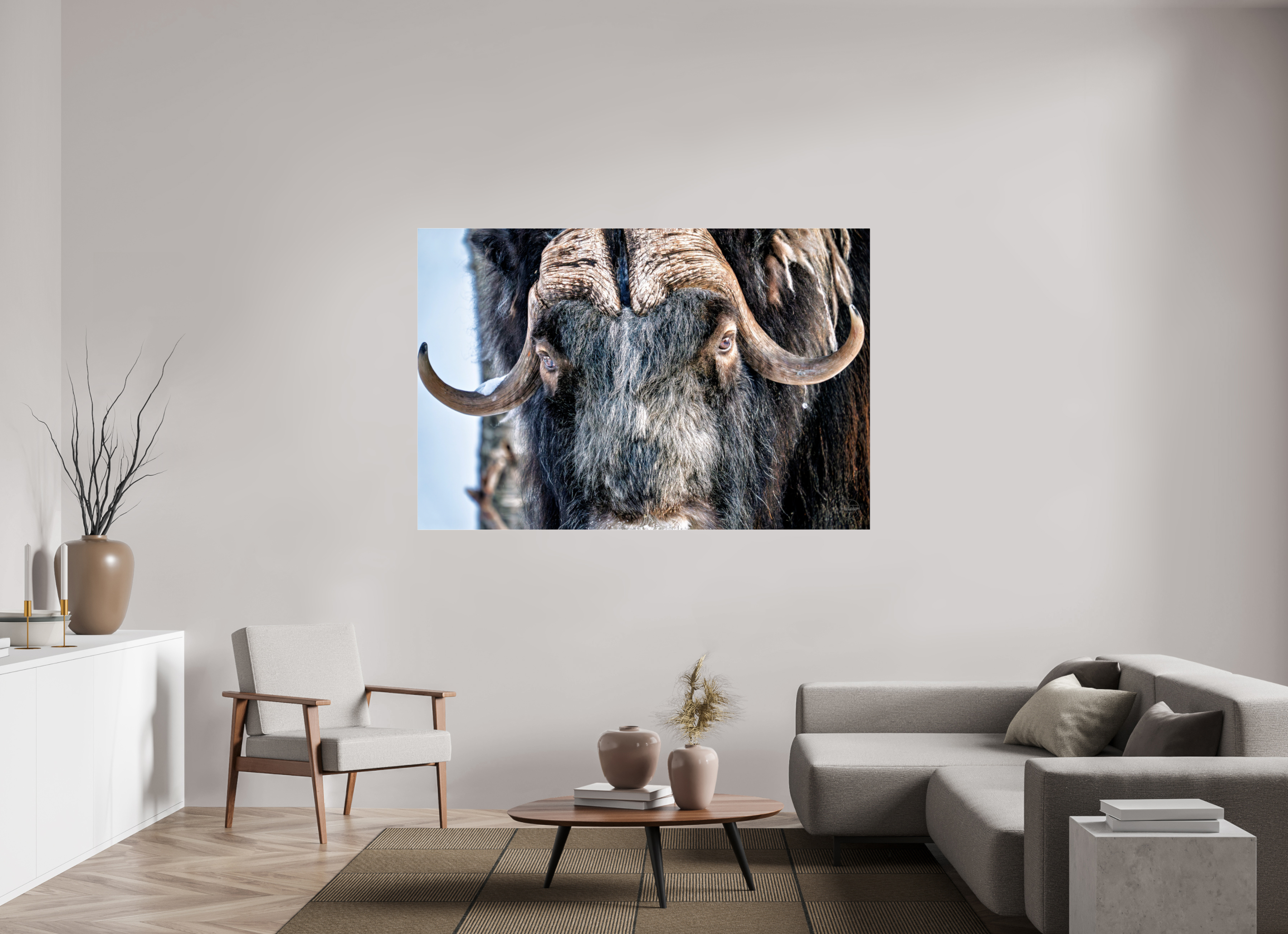 180 x 120 cm, Tirage couleur sous Plexi Le Gardien du Grand Nord | Poster Bœuf Musqué Fine Art