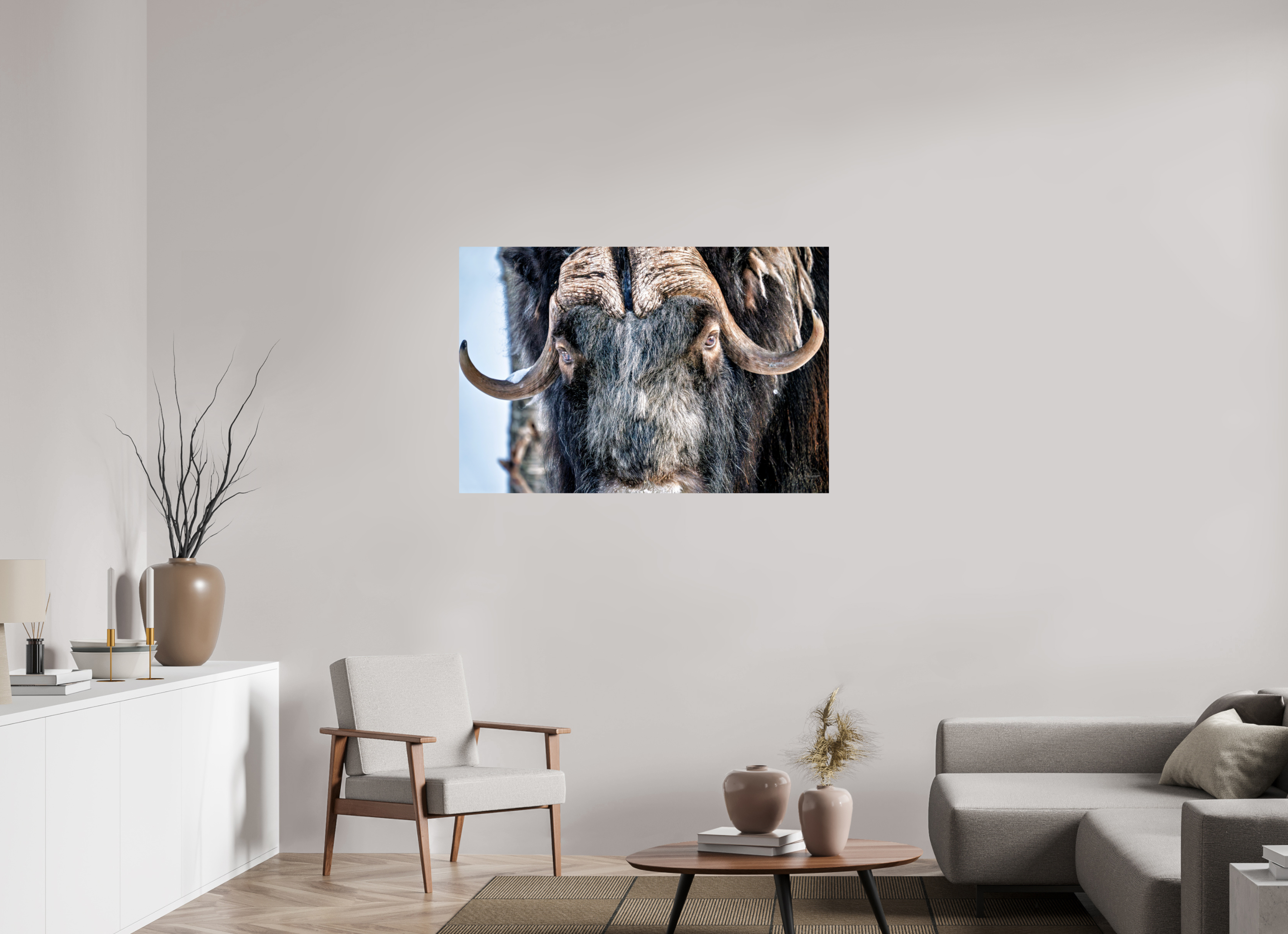 120 x 80 cm, Tirage couleur brillant seul Le Gardien du Grand Nord | Poster Bœuf Musqué Fine Art