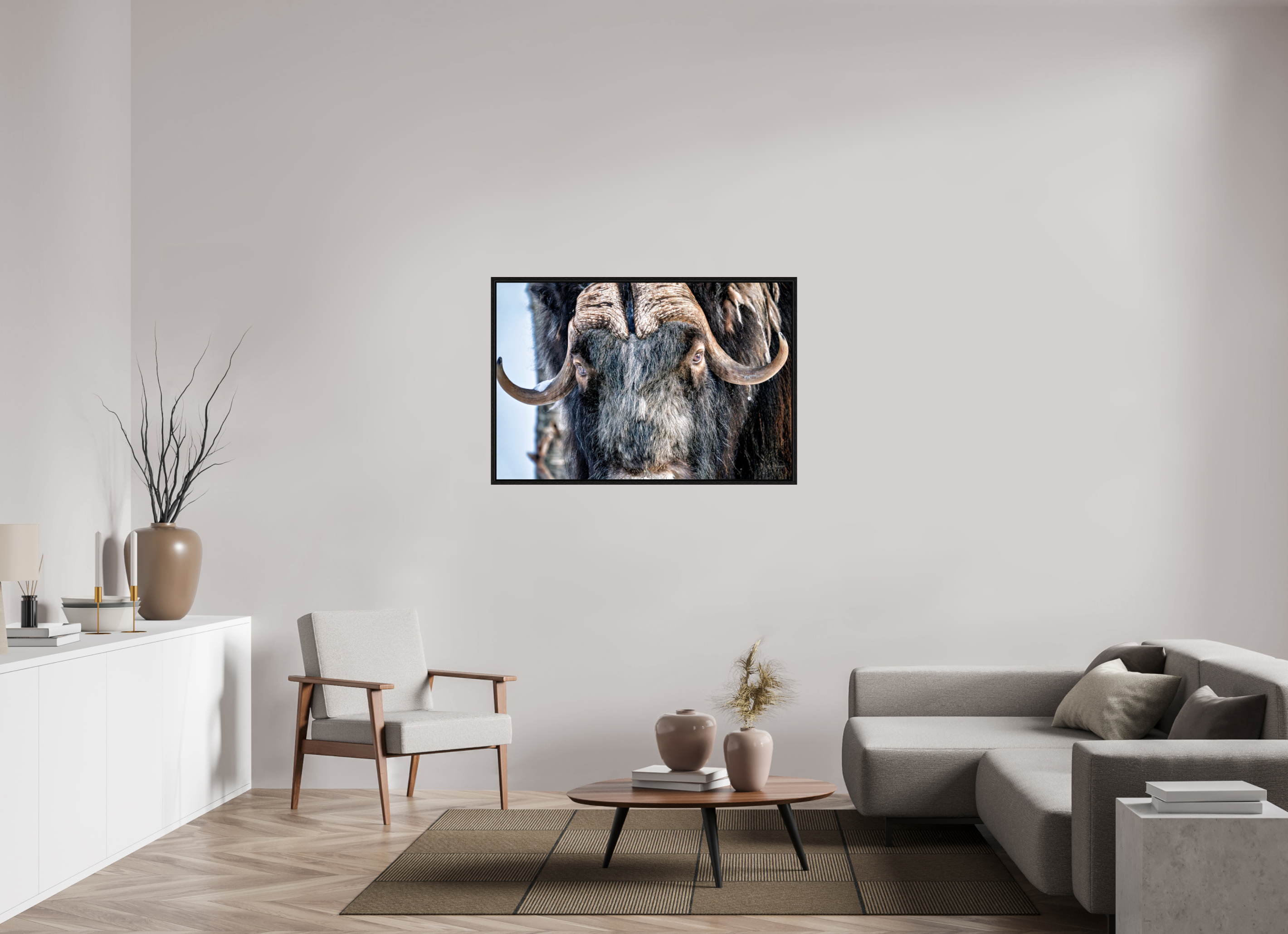 120 x 80 cm, Tirage couleur dans Caisse américaine noire Le Gardien du Grand Nord | Poster Bœuf Musqué Fine Art