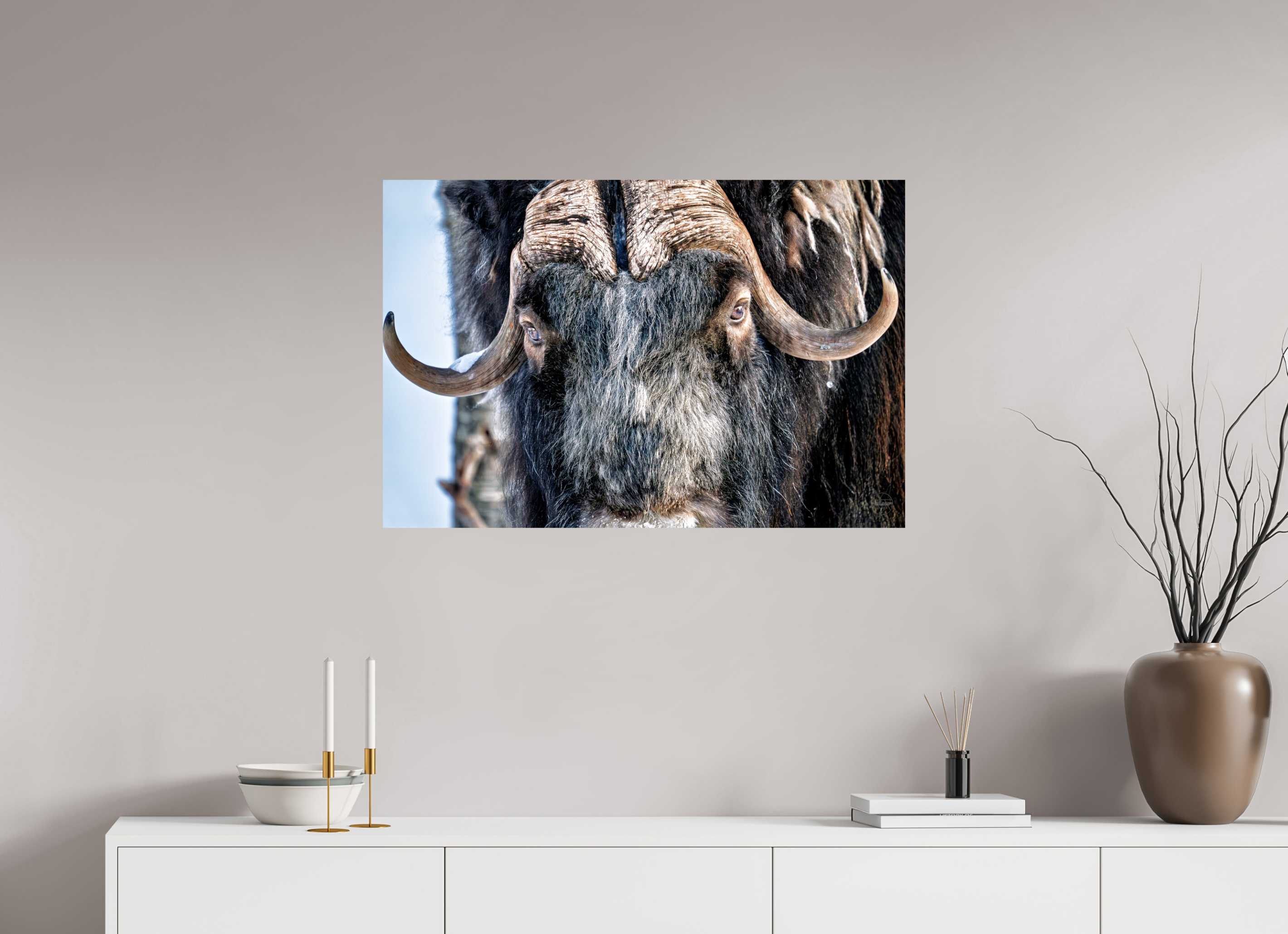 90 x 60 cm, Tirage couleur brillant seul Le Gardien du Grand Nord | Poster Bœuf Musqué Fine Art